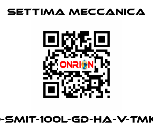 GR40-SMIT-100L-GD-HA-V-TMK-CSM Settima Meccanica