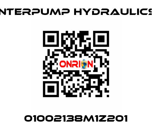 01002138M1Z201 Interpump hydraulics