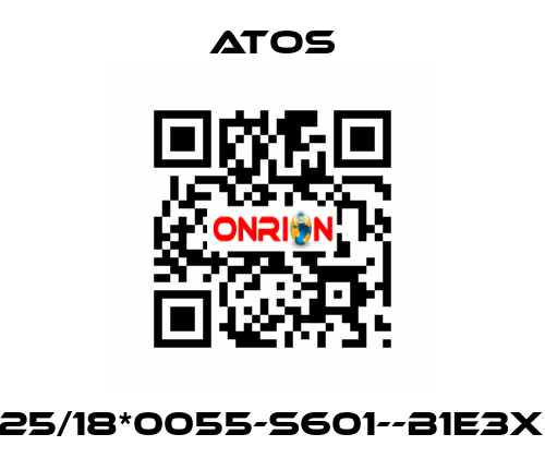 CK-25/18*0055-S601--B1E3X1Z3 Atos