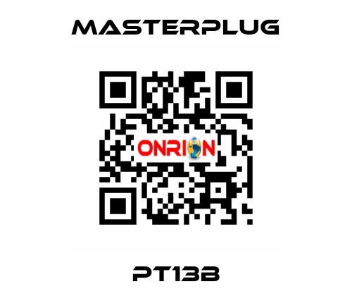 PT13B Masterplug