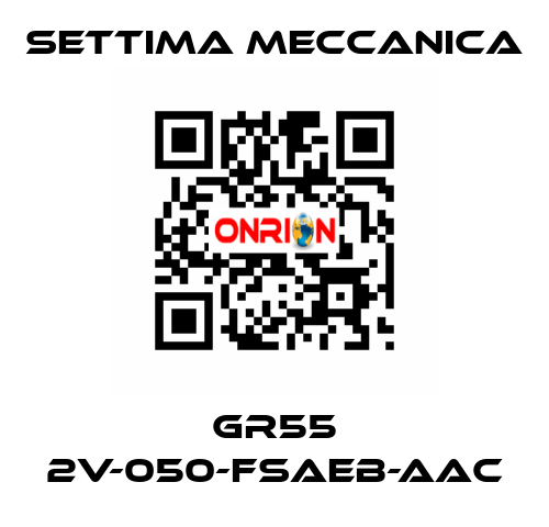 GR55 2V-050-FSAEB-AAC Settima Meccanica