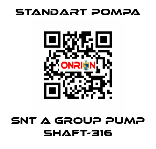 SNT A GROUP PUMP SHAFT-316 STANDART POMPA