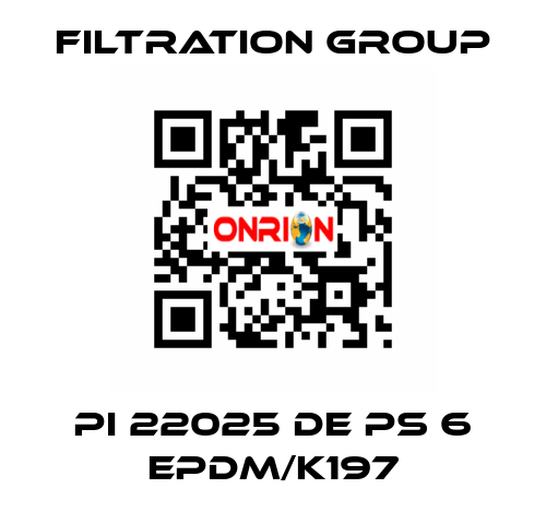 PI 22025 DE PS 6 EPDM/K197 Filtration Group