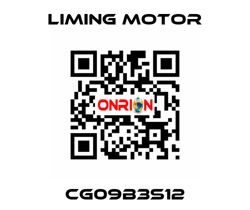 CG09B3S12 Liming Motor