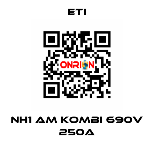 NH1 aM KOMBI 690V 250A Eti