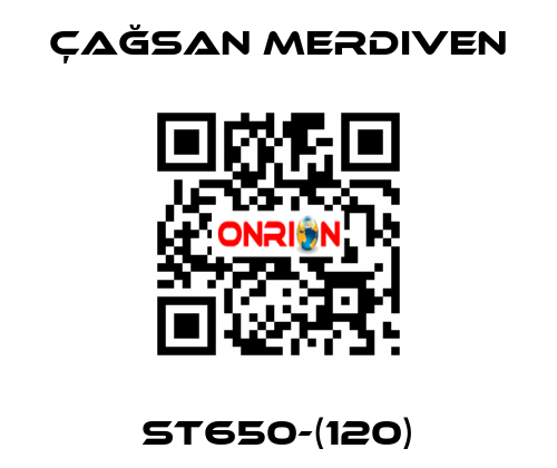 ST650-(120) Çağsan Merdiven