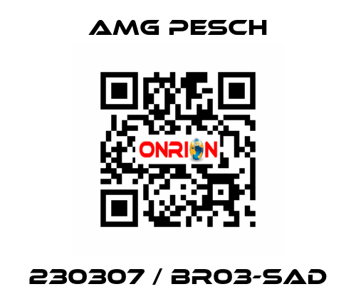 230307 / BR03-SAD AMG Pesch