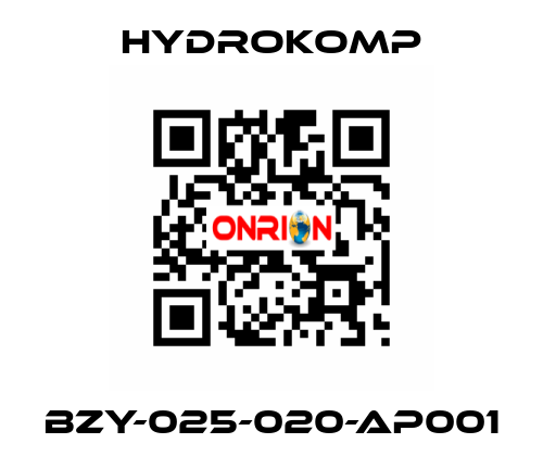 BZY-025-020-AP001 HYDROKOMP