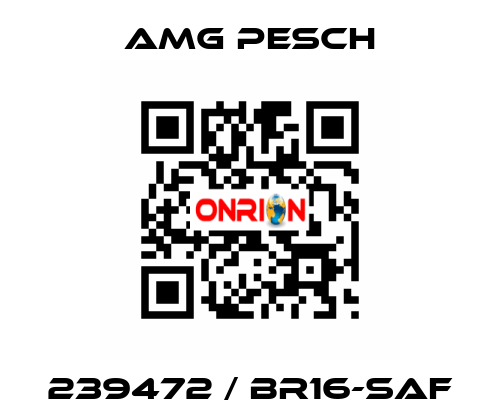 239472 / BR16-SAF AMG Pesch