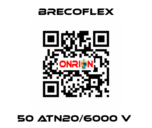 50 ATN20/6000 V  Brecoflex