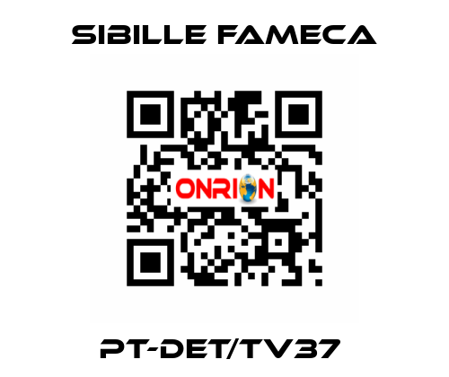 PT-DET/TV37  Sibille Fameca