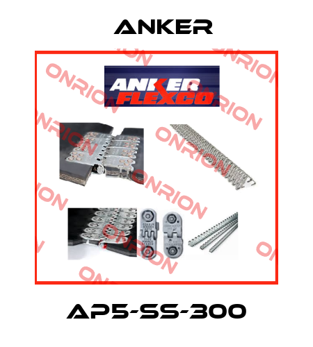 AP5-SS-300 Anker