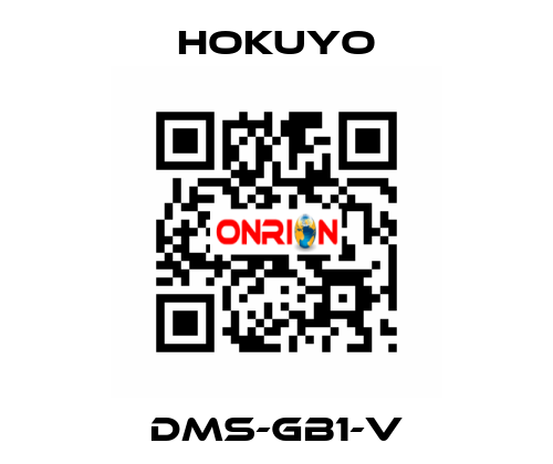 DMS-GB1-V Hokuyo