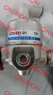 DZU.021-01 Bachofen