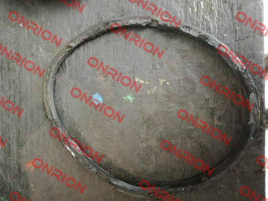 O-ring for Serial n. CF 0010373   Tecofi