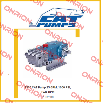 2530 Cat Pumps