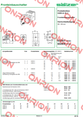 H263-41300-033V4 Salzer