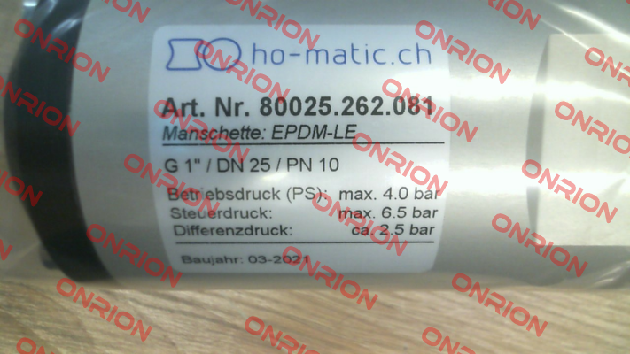 80025.262.081 Ho-Matic AG