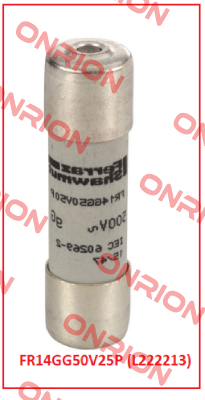 FR14GG50V25P (L222213) Mersen