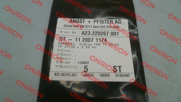 1120071174 Angst-Pfister